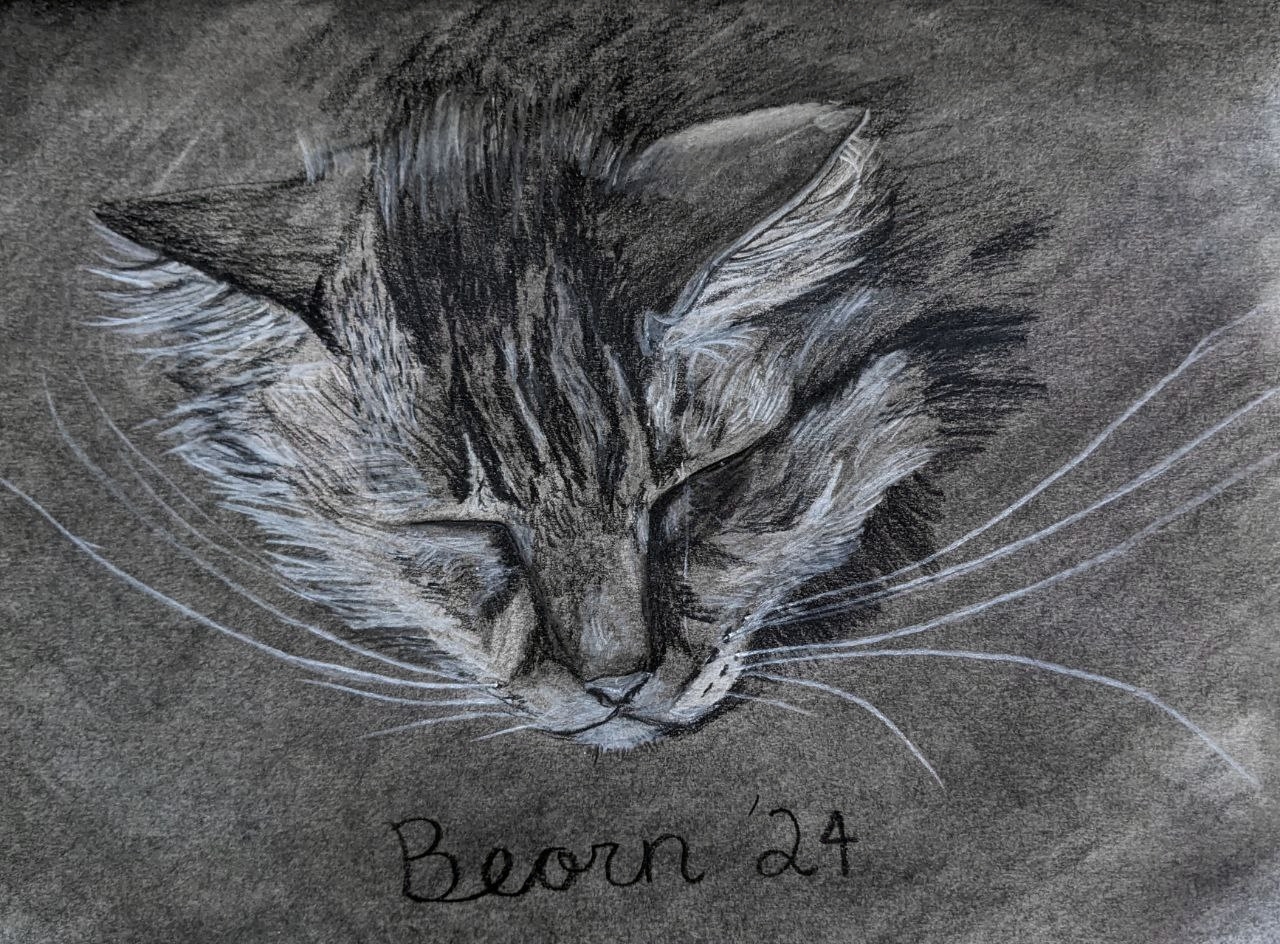 A black and white charcoal pencil drawing of a wonderful cat
