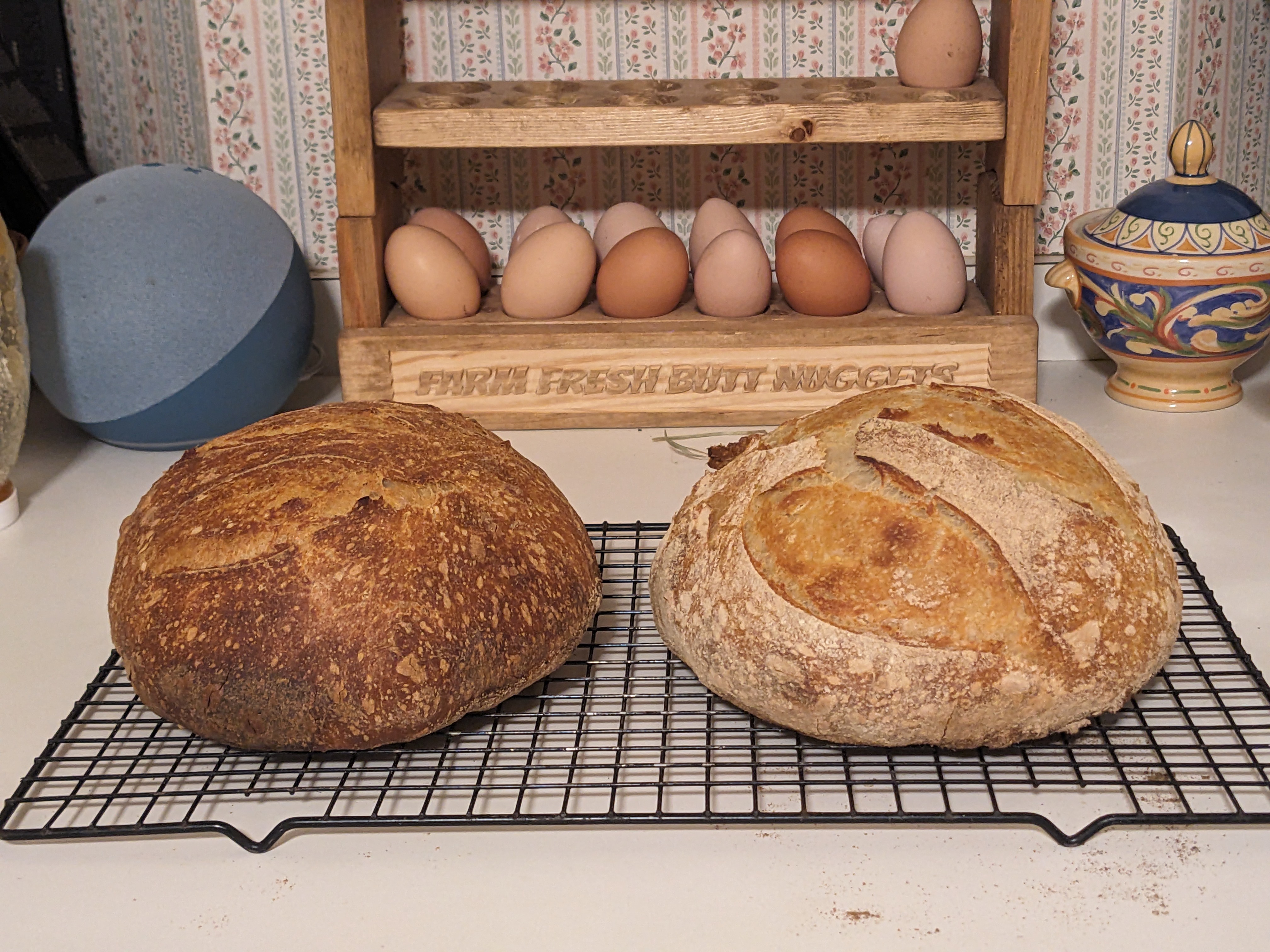 A picture of 2 loaves of sourdough bread on a kitchen counter